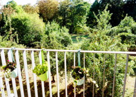 BetreutesWohnen-09-97c2ad00