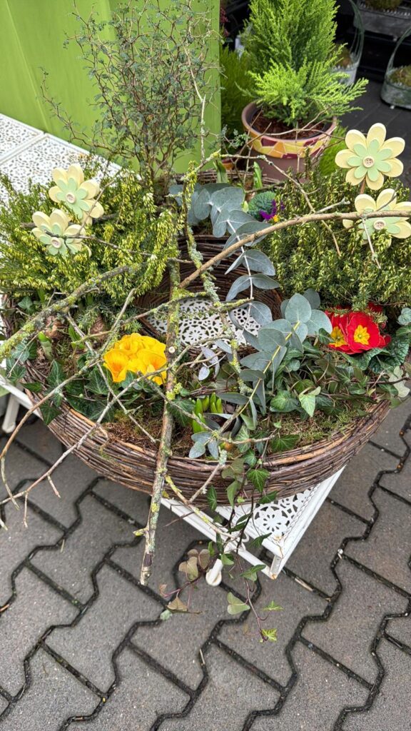 Blumen der Blumenschmiede Laubach