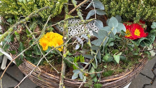 Blumen der Blumenschmiede Laubach