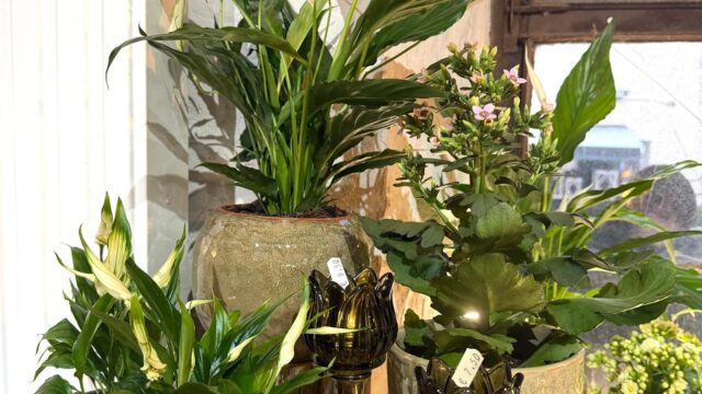 Blumenschmiede_Röthges_Martin_Hofmann_05