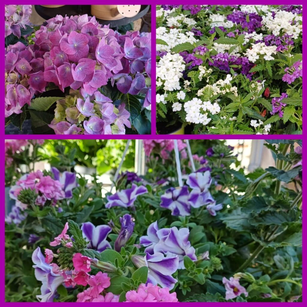 Blumenschmiede_Röthges_Martin_Hofmann_17