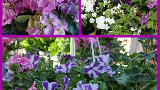 Blumenschmiede_Röthges_Martin_Hofmann_17