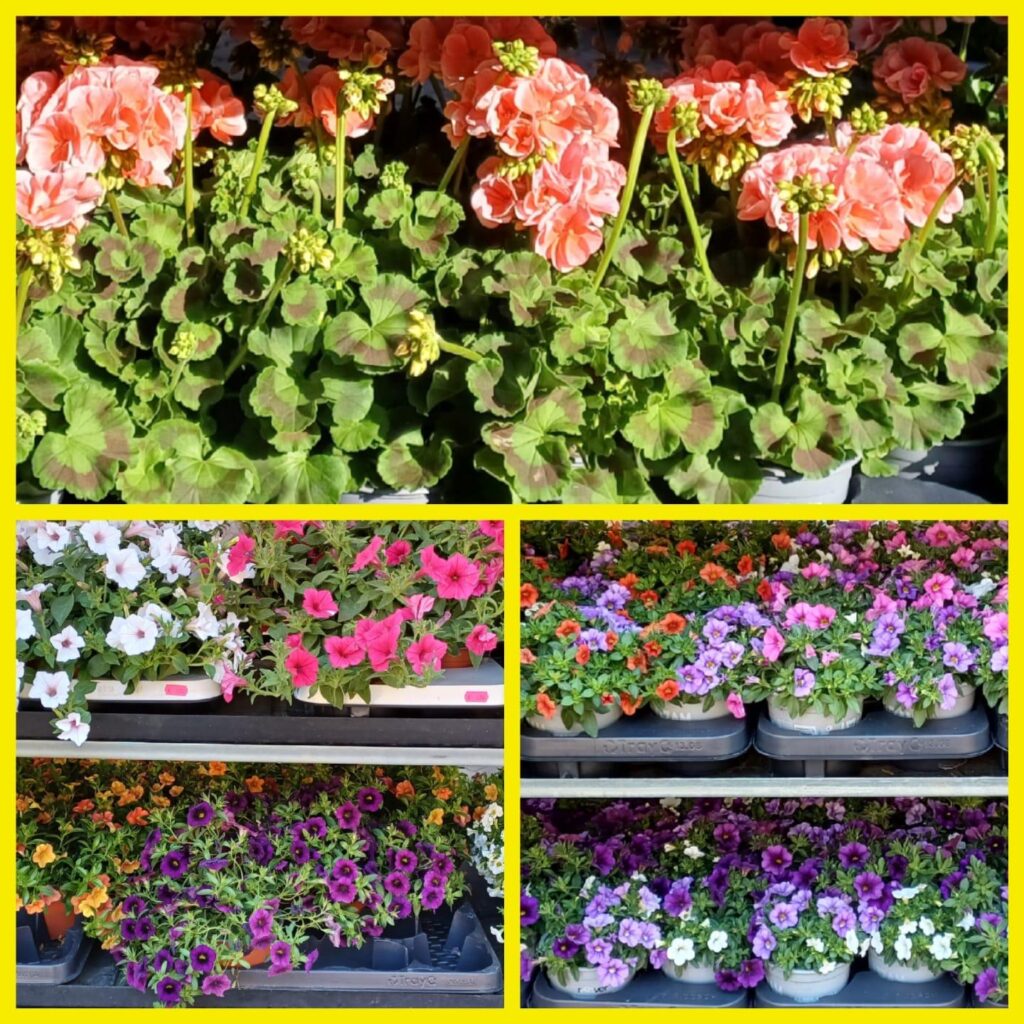 Blumenschmiede_Röthges_Martin_Hofmann_18