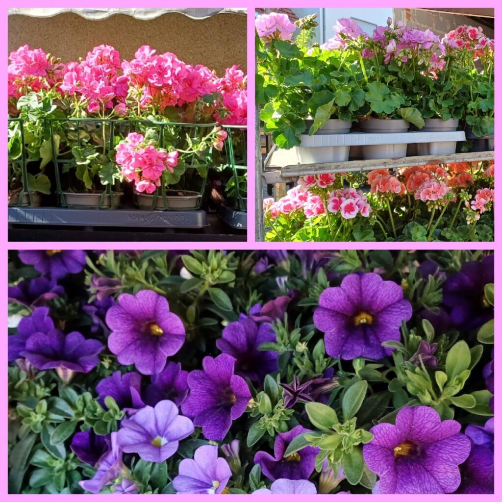 Blumenschmiede_Röthges_Martin_Hofmann_19