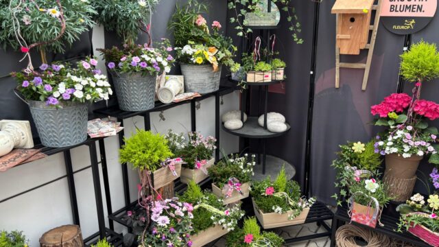 Blumenschmiede_Röthges_Martin_Hofmann_21