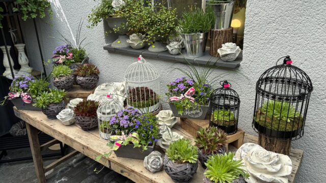 Blumenschmiede_Röthges_Martin_Hofmann_22