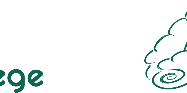 Element-4Ambulante_Pflegeengel_Logo